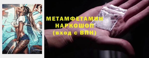 прущие грибы Вяземский