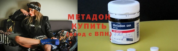 прущие грибы Вяземский