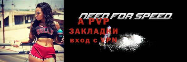 прущие грибы Вяземский