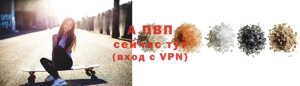 прущие грибы Вяземский