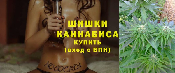 прущие грибы Вяземский