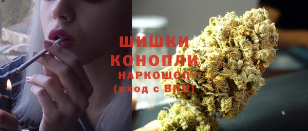 прущие грибы Вяземский