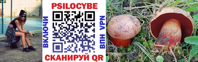 Купить где  Киржач  Псилоцибиновые грибы Cubensis 